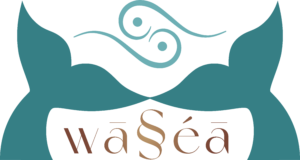 Washea | Luxury Healing Services